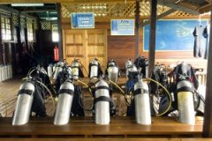 <b>ȫ��λǱˮ�������ĵ���Ҫ</b>