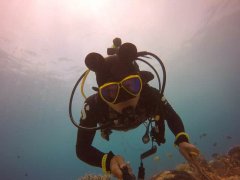 ��ֵ��ӵ�еı�ů���������˼��˰�