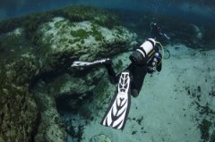 �����Ľ�ѵ��ѹ��������