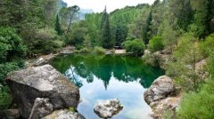 ��ָ�������漣����Ǳ��Ԯȫ��¼��-ί�������Ĵ�������û������