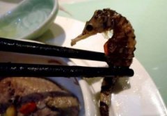 ������ʲô��ͷ��Ϊʲô�й���Ҫ������