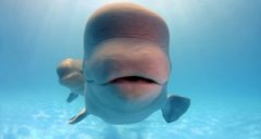 �׾���רע�Ż�С���Ѷ�ʮ�꣡