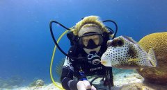 ����ǱˮԱ�������ĸ��뺣�������Ӱ