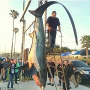 ���������ݺ��򲶻�6�׳������