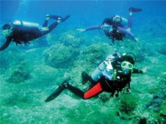 ������ʡǱˮ��Ӫ�����취��Ǳˮ��Ӫ����й����