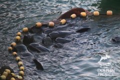 �ձ��ٽ���ɱ�����캽������ѪȾ����