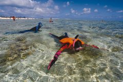 ������ɳӭ����216���ο͵�Ѽ��������Ǳˮ