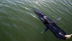 <b>���������:���ƽ�ǹ�����ζ�ǰ�� ��������׷��</b>