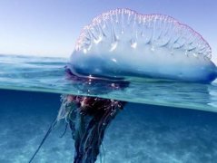 ɮñˮĸ��������ȥ����ȷ������ɱ��