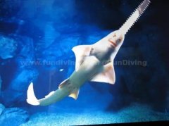 <b>���ھ����ġ��Ǿ⡱�㲻һ��֪��������</b>