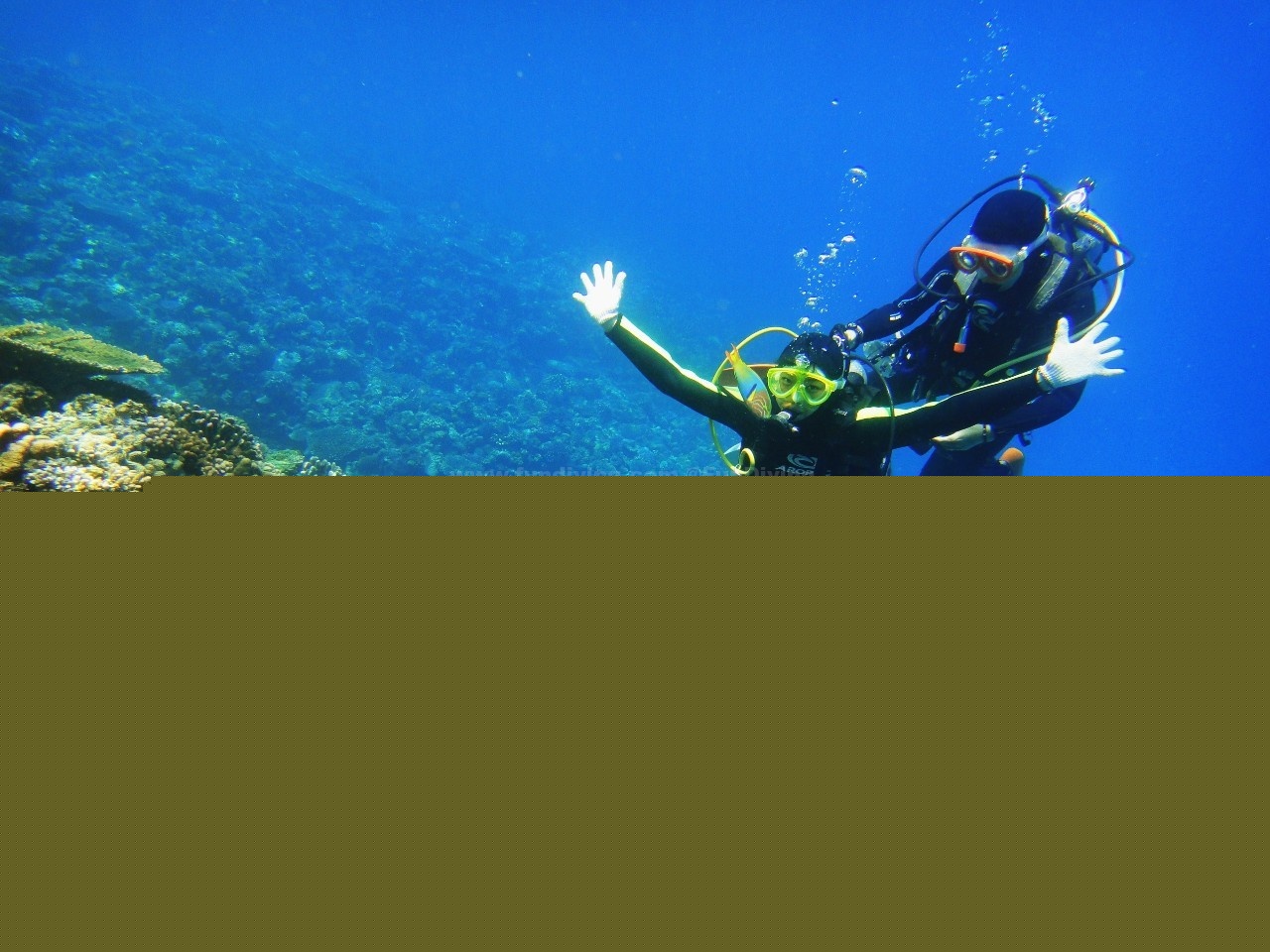 <b>����Ǳˮ�ľŸ�����������ǹ����</b>