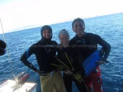 ���׸ò�������OW/AOW