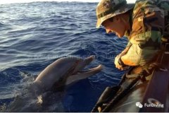 û�뵽���ɰ��ĺ����������ս����ȴ������������սʿ